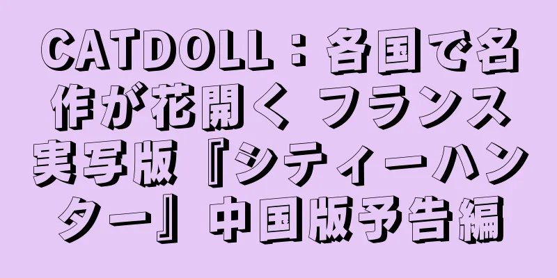 CATDOLL：各国で名作が花開く フランス実写版『シティーハンター』中国版予告編