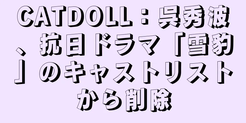 CATDOLL：呉秀波、抗日ドラマ「雪豹」のキャストリストから削除