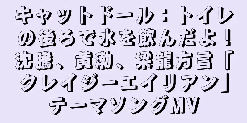 キャットドール：トイレの後ろで水を飲んだよ！沈騰、黄渤、梁龍方言「クレイジーエイリアン」テーマソングMV