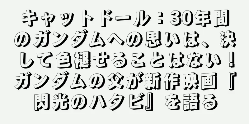 キャットドール：30年間のガンダムへの思いは、決して色褪せることはない！ガンダムの父が新作映画『閃光のハタビ』を語る