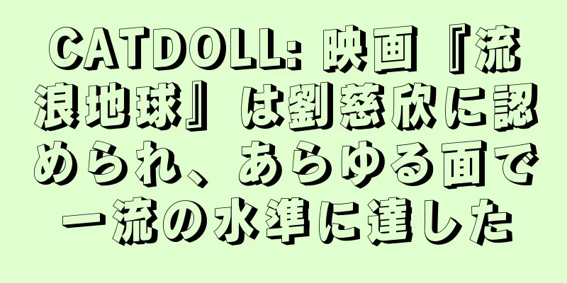 CATDOLL: 映画『流浪地球』は劉慈欣に認められ、あらゆる面で一流の水準に達した