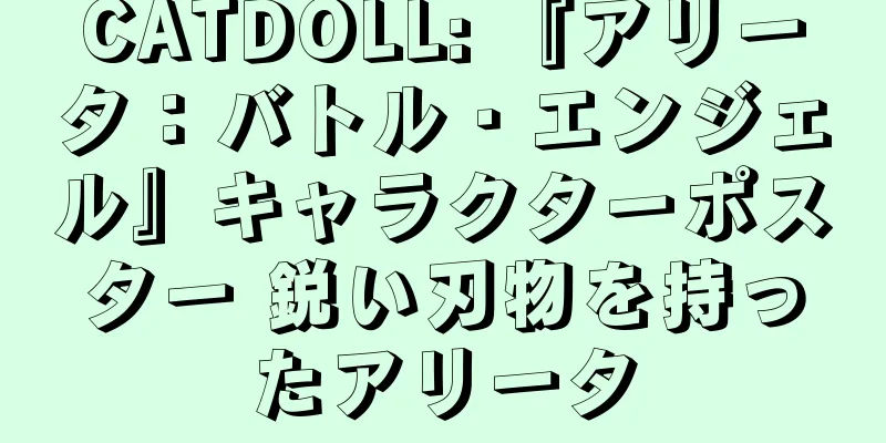 CATDOLL: 『アリータ：バトル・エンジェル』キャラクターポスター 鋭い刃物を持ったアリータ