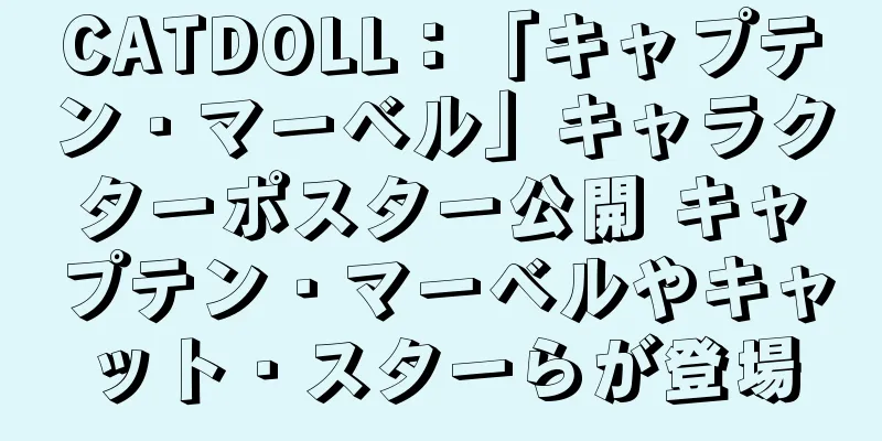 CATDOLL：「キャプテン・マーベル」キャラクターポスター公開 キャプテン・マーベルやキャット・スターらが登場