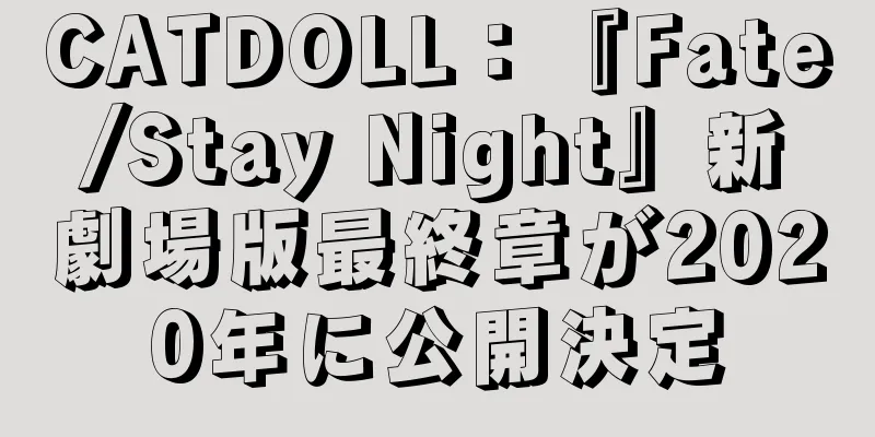 CATDOLL：『Fate/Stay Night』新劇場版最終章が2020年に公開決定