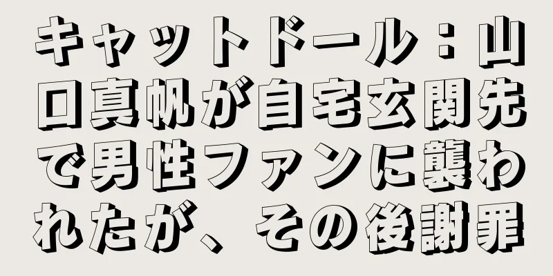 キャットドール：山口真帆が自宅玄関先で男性ファンに襲われたが、その後謝罪