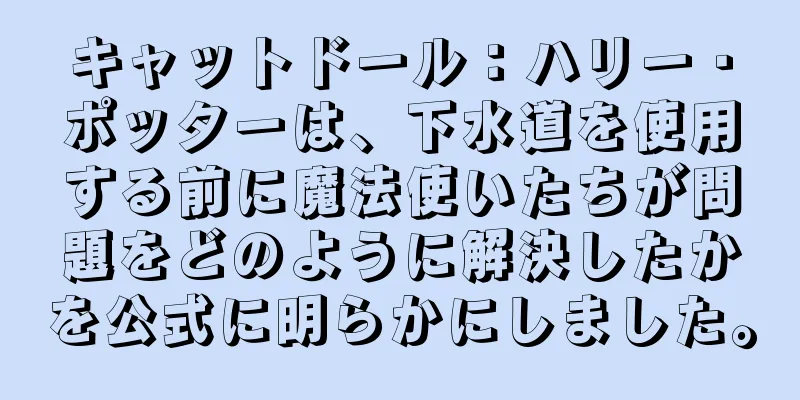 キャットドール：ハリー・ポッターは、下水道を使用する前に魔法使いたちが問題をどのように解決したかを公式に明らかにしました。