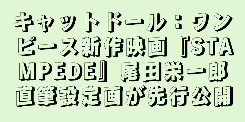 キャットドール：ワンピース新作映画『STAMPEDE』尾田栄一郎直筆設定画が先行公開