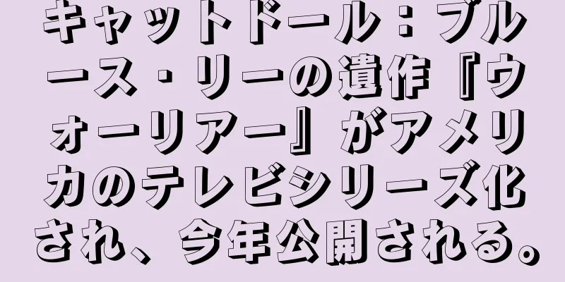 キャットドール：ブルース・リーの遺作『ウォーリアー』がアメリカのテレビシリーズ化され、今年公開される。