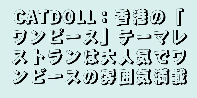 CATDOLL：香港の「ワンピース」テーマレストランは大人気でワンピースの雰囲気満載