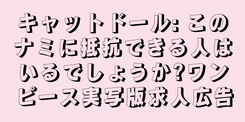 キャットドール: このナミに抵抗できる人はいるでしょうか?ワンピース実写版求人広告