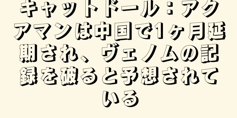 キャットドール：アクアマンは中国で1ヶ月延期され、ヴェノムの記録を破ると予想されている