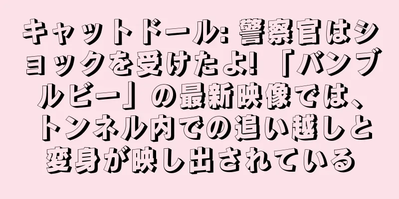 キャットドール: 警察官はショックを受けたよ! 「バンブルビー」の最新映像では、トンネル内での追い越しと変身が映し出されている
