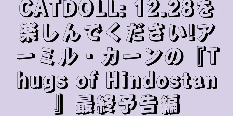 CATDOLL: 12.28を楽しんでください!アーミル・カーンの『Thugs of Hindostan』最終予告編