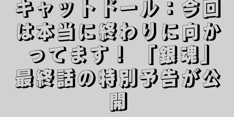 キャットドール：今回は本当に終わりに向かってます！ 「銀魂」最終話の特別予告が公開
