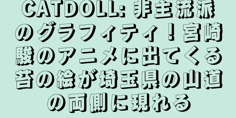 CATDOLL: 非主流派のグラフィティ！宮崎駿のアニメに出てくる苔の絵が埼玉県の山道の両側に現れる