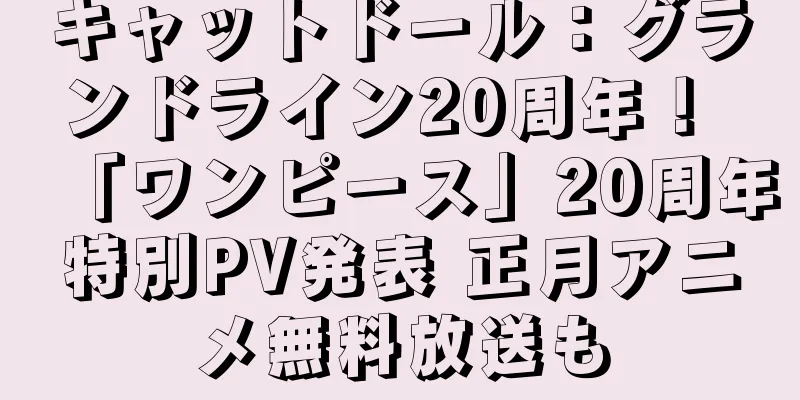キャットドール：グランドライン20周年！ 「ワンピース」20周年特別PV発表 正月アニメ無料放送も