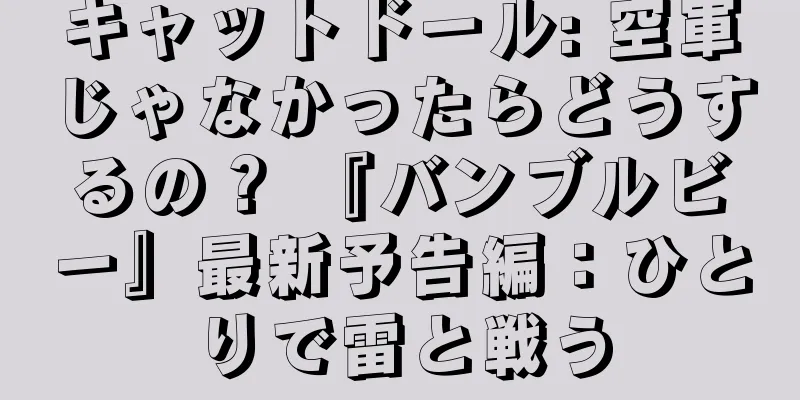 キャットドール: 空軍じゃなかったらどうするの？ 『バンブルビー』最新予告編：ひとりで雷と戦う