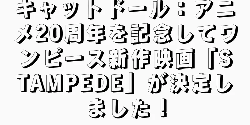 キャットドール：アニメ20周年を記念してワンピース新作映画「STAMPEDE」が決定しました！