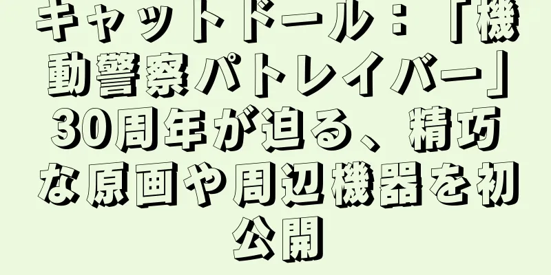 キャットドール：「機動警察パトレイバー」30周年が迫る、精巧な原画や周辺機器を初公開