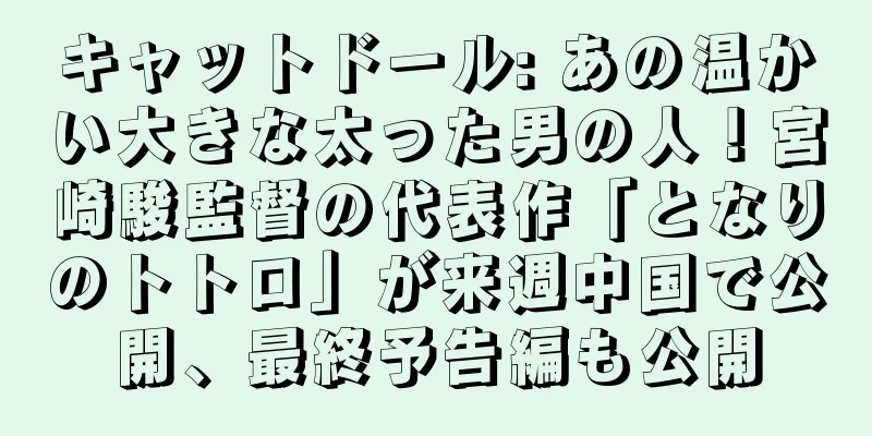 キャットドール: あの温かい大きな太った男の人！宮崎駿監督の代表作「となりのトトロ」が来週中国で公開、最終予告編も公開