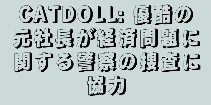CATDOLL: 優酷の元社長が経済問題に関する警察の捜査に協力