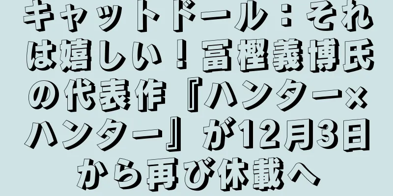 キャットドール：それは嬉しい！冨樫義博氏の代表作『ハンター×ハンター』が12月3日から再び休載へ