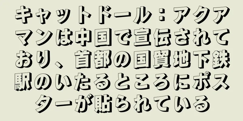 キャットドール：アクアマンは中国で宣伝されており、首都の国貿地下鉄駅のいたるところにポスターが貼られている