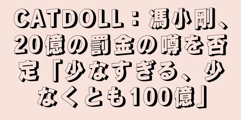 CATDOLL：馮小剛、20億の罰金の噂を否定「少なすぎる、少なくとも100億」