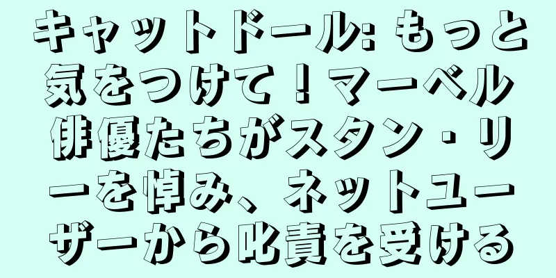 キャットドール: もっと気をつけて！マーベル俳優たちがスタン・リーを悼み、ネットユーザーから叱責を受ける