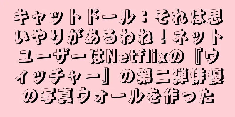 キャットドール：それは思いやりがあるわね！ネットユーザーはNetflixの『ウィッチャー』の第二弾俳優の写真ウォールを作った