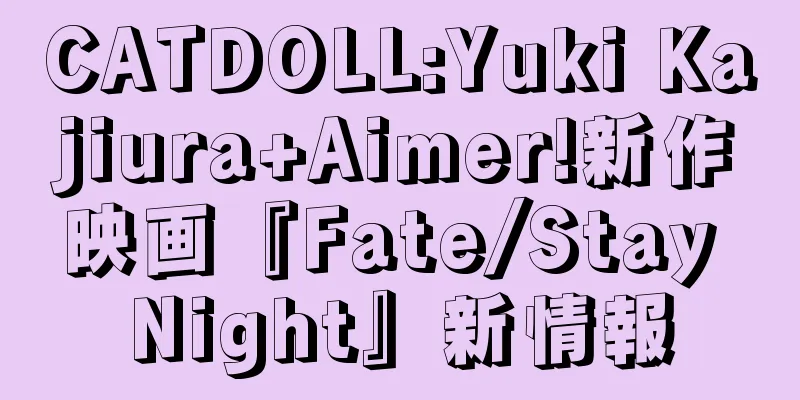 CATDOLL:Yuki Kajiura+Aimer!新作映画『Fate/Stay Night』新情報