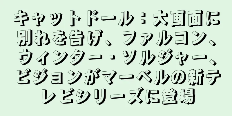 キャットドール：大画面に別れを告げ、ファルコン、ウィンター・ソルジャー、ビジョンがマーベルの新テレビシリーズに登場