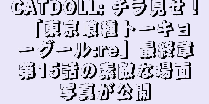CATDOLL: チラ見せ！ 「東京喰種トーキョーグール:re」最終章第15話の素敵な場面写真が公開
