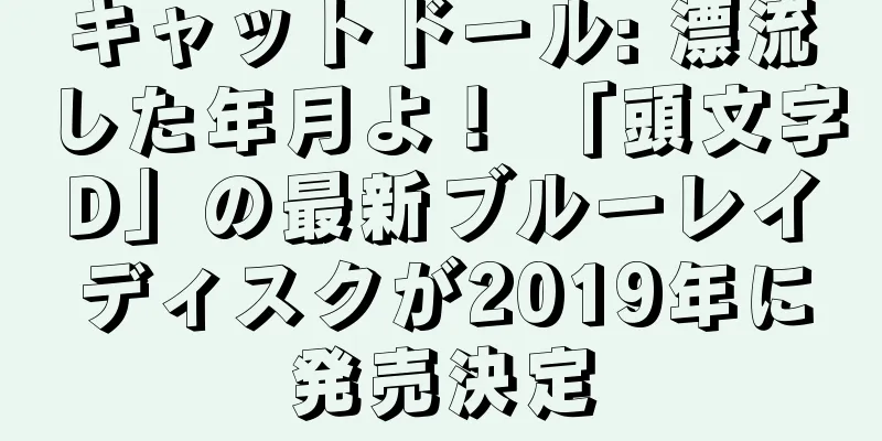 キャットドール: 漂流した年月よ！ 「頭文字D」の最新ブルーレイディスクが2019年に発売決定