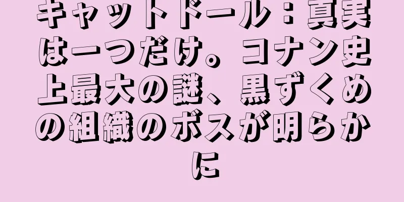 キャットドール：真実は一つだけ。コナン史上最大の謎、黒ずくめの組織のボスが明らかに