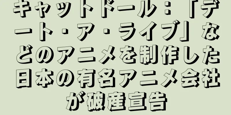 キャットドール：「デート・ア・ライブ」などのアニメを制作した日本の有名アニメ会社が破産宣告