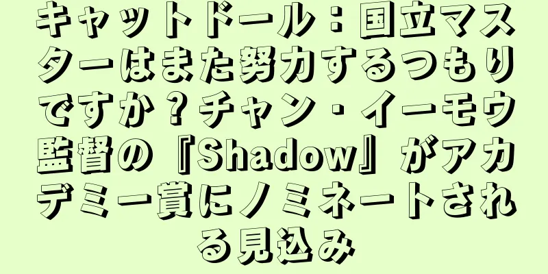 キャットドール：国立マスターはまた努力するつもりですか？チャン・イーモウ監督の『Shadow』がアカデミー賞にノミネートされる見込み