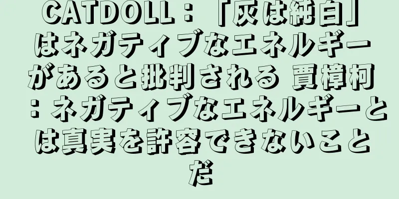 CATDOLL：「灰は純白」はネガティブなエネルギーがあると批判される 賈樟柯：ネガティブなエネルギーとは真実を許容できないことだ