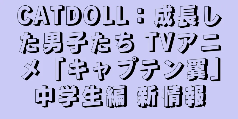 CATDOLL：成長した男子たち TVアニメ「キャプテン翼」中学生編 新情報