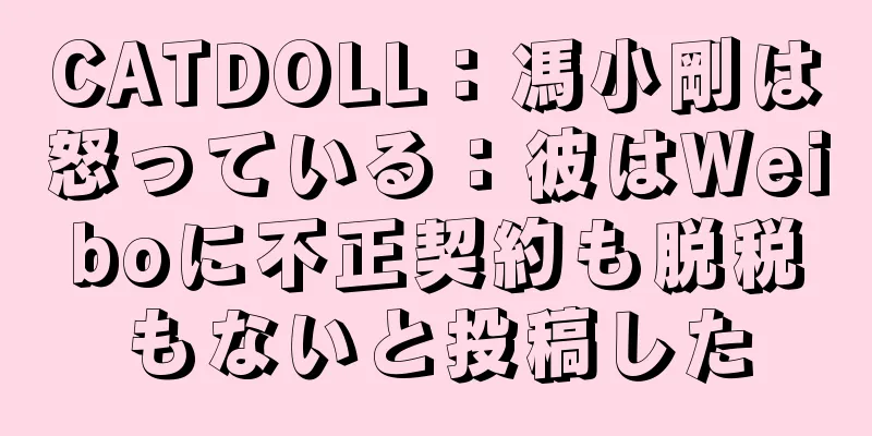 CATDOLL：馮小剛は怒っている：彼はWeiboに不正契約も脱税もないと投稿した