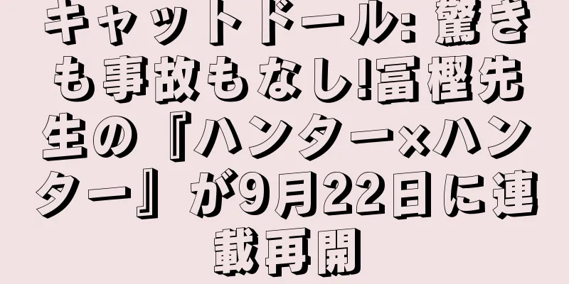 キャットドール: 驚きも事故もなし!冨樫先生の『ハンター×ハンター』が9月22日に連載再開