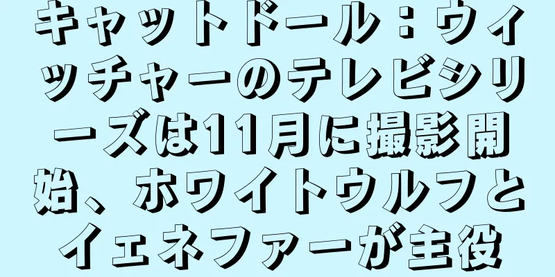 キャットドール：ウィッチャーのテレビシリーズは11月に撮影開始、ホワイトウルフとイェネファーが主役