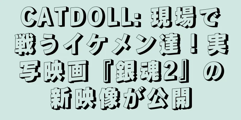 CATDOLL: 現場で戦うイケメン達！実写映画『銀魂2』の新映像が公開