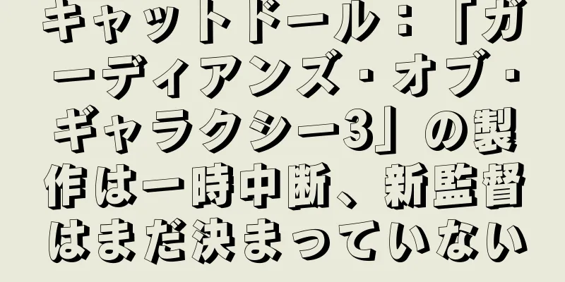 キャットドール：「ガーディアンズ・オブ・ギャラクシー3」の製作は一時中断、新監督はまだ決まっていない