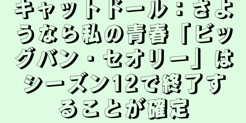 キャットドール：さようなら私の青春「ビッグバン・セオリー」はシーズン12で終了することが確定