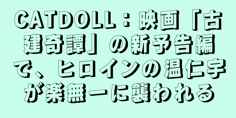CATDOLL：映画「古建奇譚」の新予告編で、ヒロインの温仁宇が楽無一に襲われる