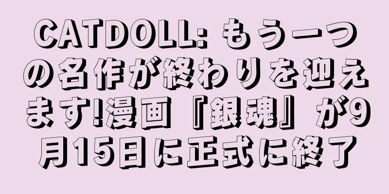CATDOLL: もう一つの名作が終わりを迎えます!漫画『銀魂』が9月15日に正式に終了
