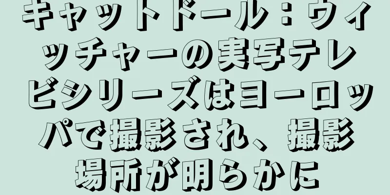 キャットドール：ウィッチャーの実写テレビシリーズはヨーロッパで撮影され、撮影場所が明らかに