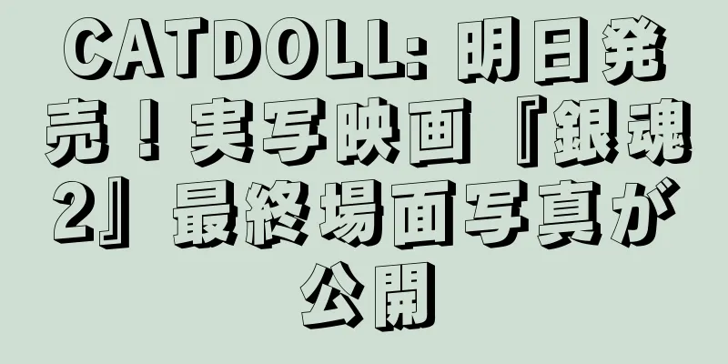 CATDOLL: 明日発売！実写映画『銀魂2』最終場面写真が公開