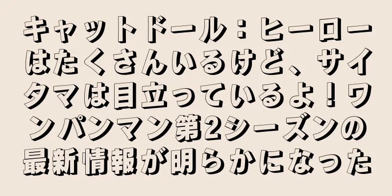 キャットドール：ヒーローはたくさんいるけど、サイタマは目立っているよ！ワンパンマン第2シーズンの最新情報が明らかになった